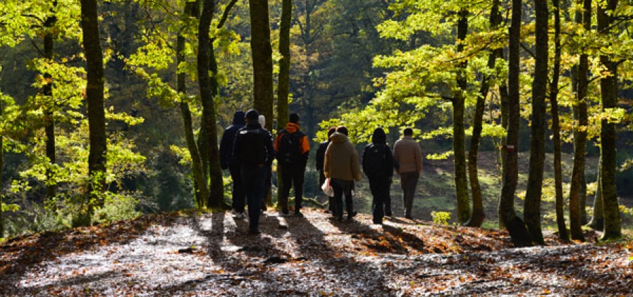 Community in transition