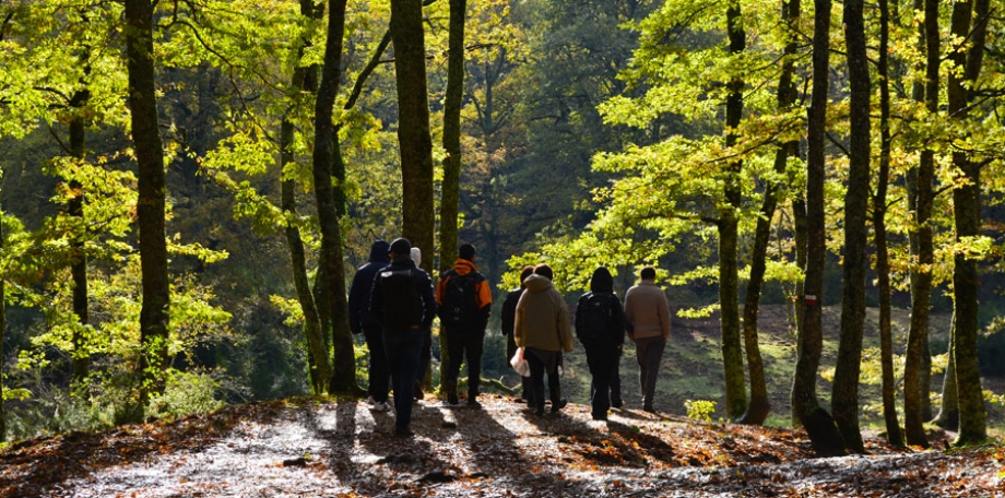 COMMUNITY IN TRANSITION
